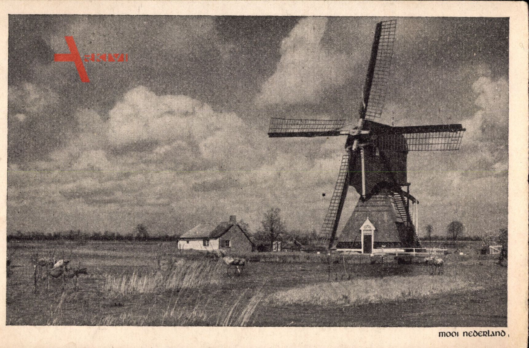 Niederlande, Mooi Nederland, Windmühle auf einem Feld