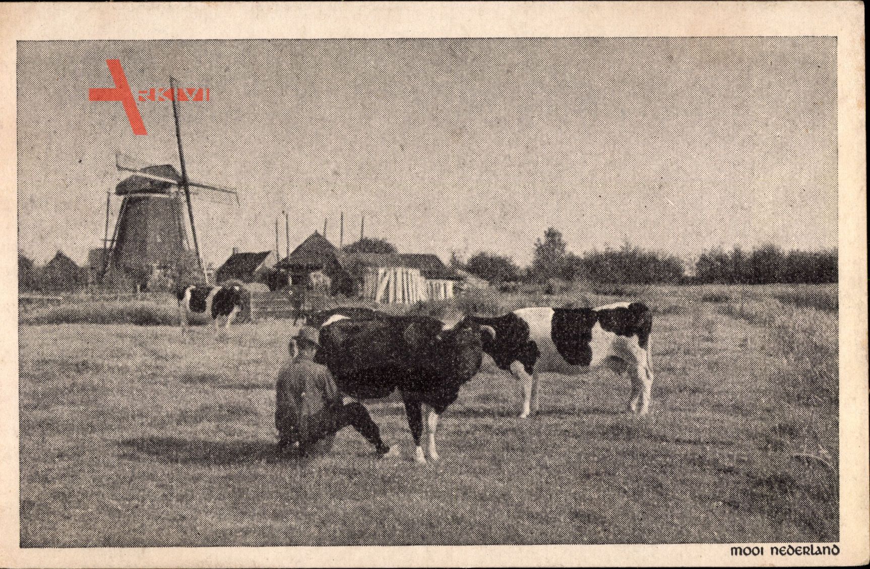Niederlande, Mooi Nederland, Windmühle, Bauer melkt Kuh