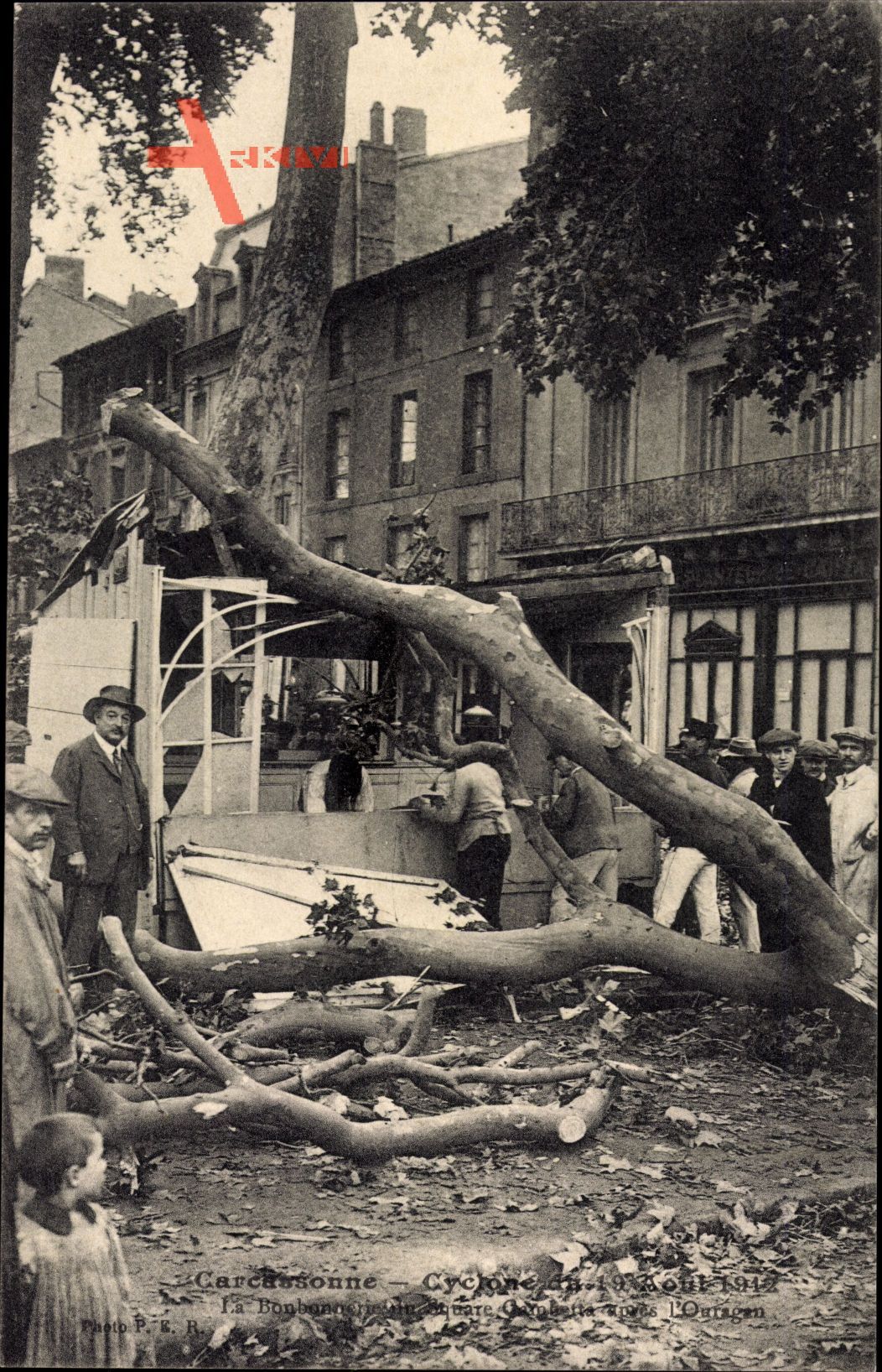 Carcassonne Aude, Cyclone du 19 Aout 1912, umgestürzter Baum, Sturm