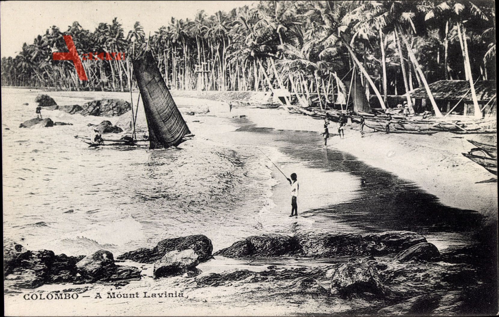 Colombo Ceylon Sri Lanka, A Mount Lavinia, Strand, Palmen, Boot