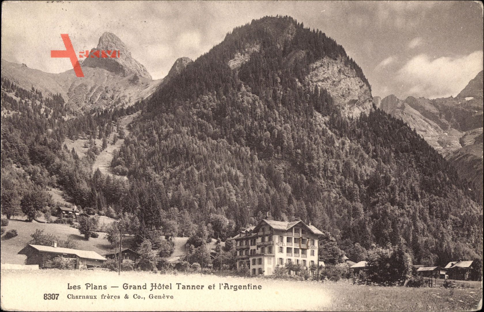 Les Plans Hérault, Grand Hotel Tanner et l'Argentine, Gebirge, Wald