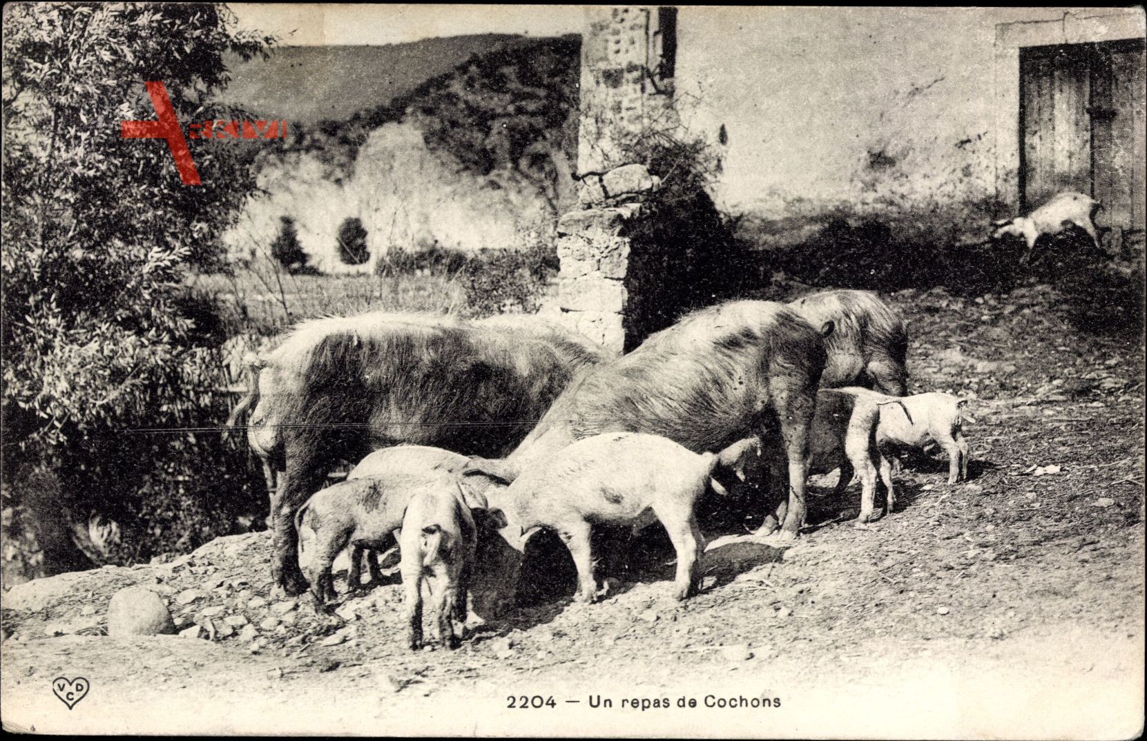 Un repas de Cochons, Schweinefamilie auf dem Bauernhof