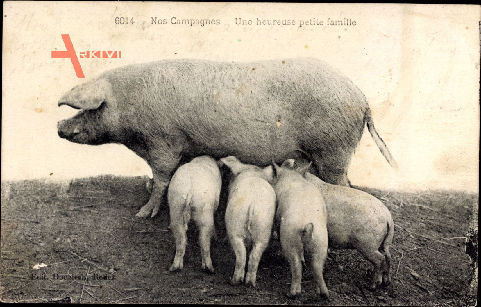 Nos Campagnes, Une heurese petite famille, Schweinefamilie, Ferkel