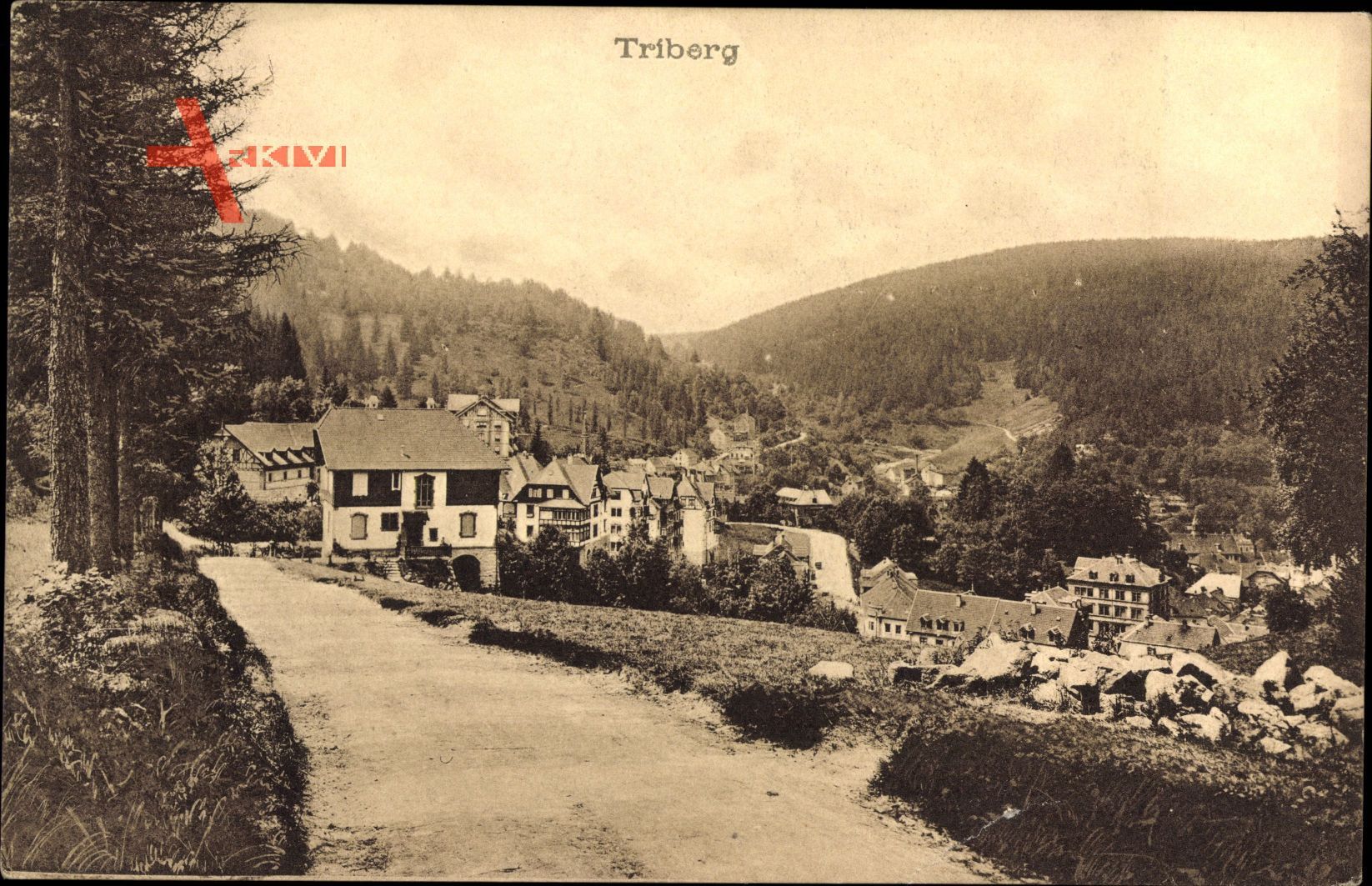Triberg im Schwarzwald, Blick auf den Ort, Straßenpartie, Wald