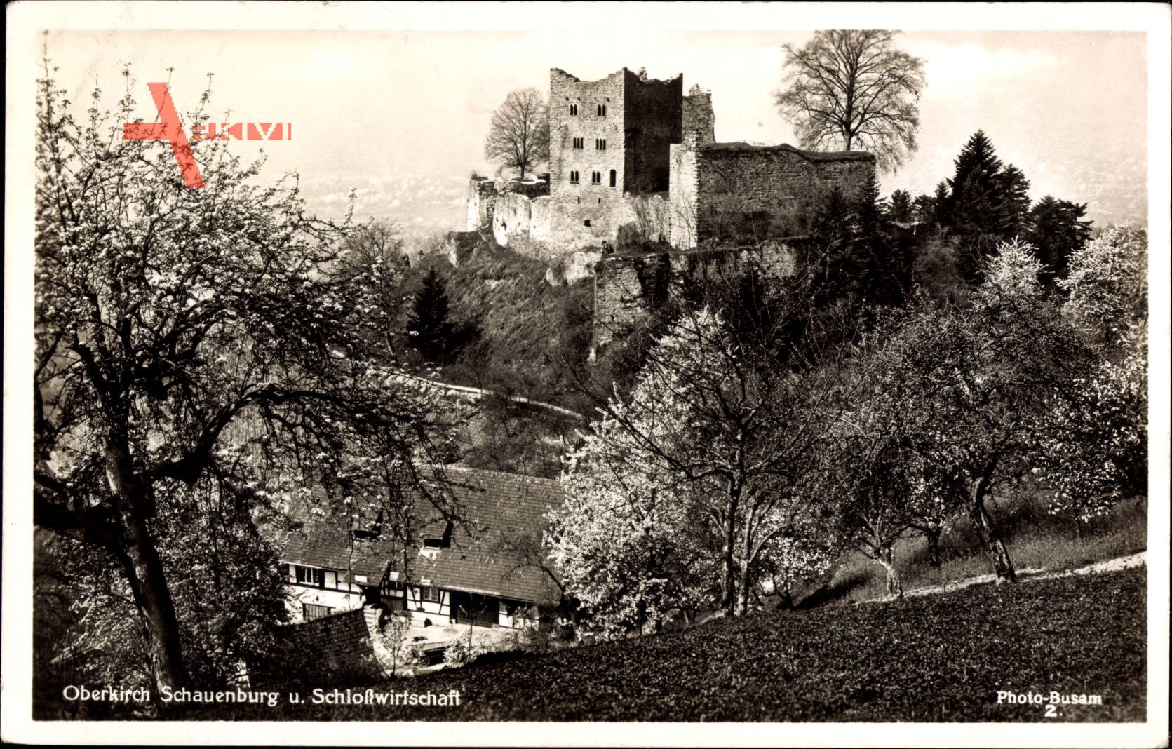 Oberkirch in Baden Württemberg, Schauenburg und Schlosswirtschaft