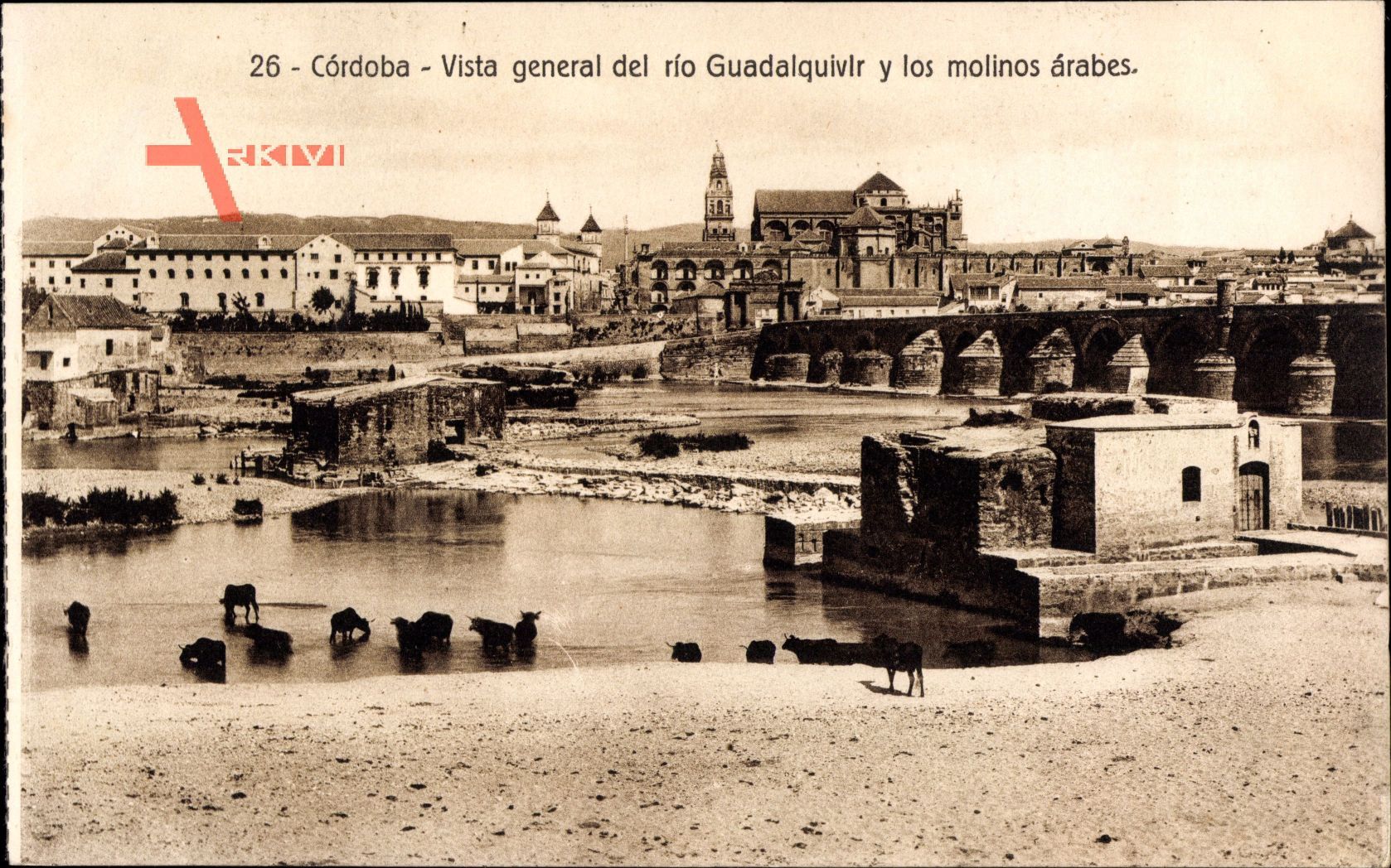 Cordoba Andalusien Spanien, Viste general del rio Guadalquivir,Molinos arabes