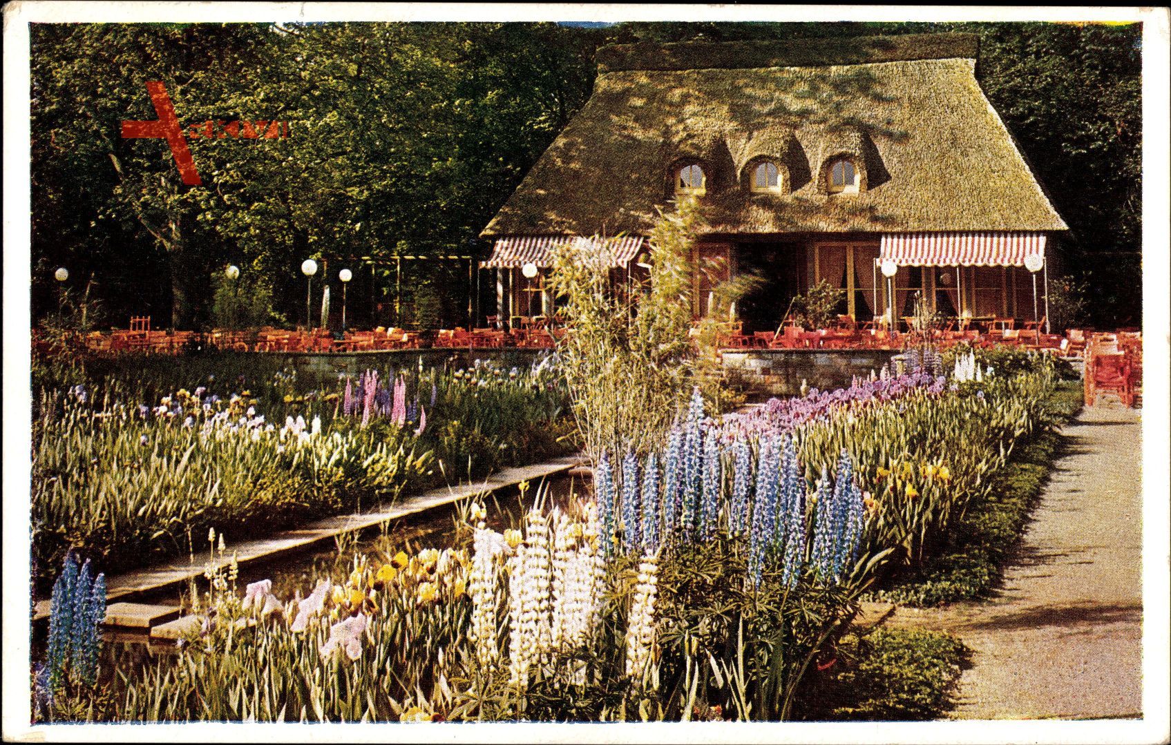 Dresden, Jahresschau 1937, Garten und Heim, Irisgarten, Cafe Eden