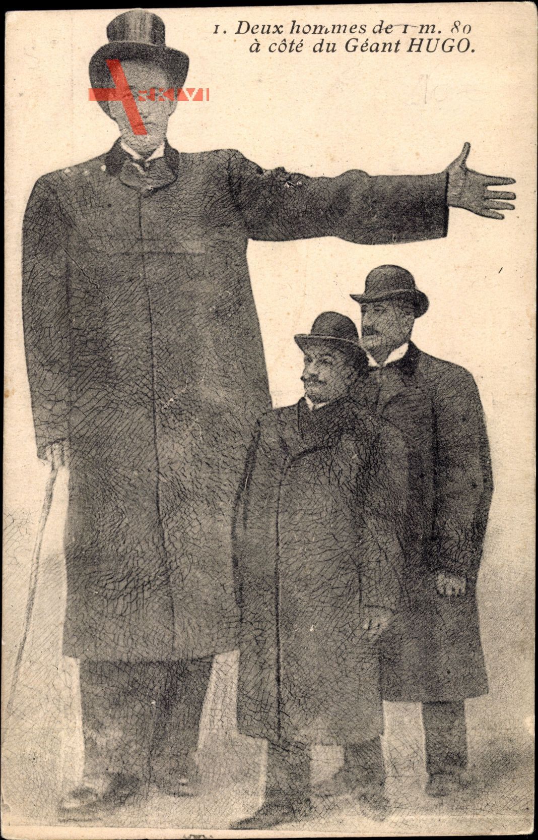 Deux Hommes de 1.80m, Géant Hugo, 2.35m hauteur, Riese