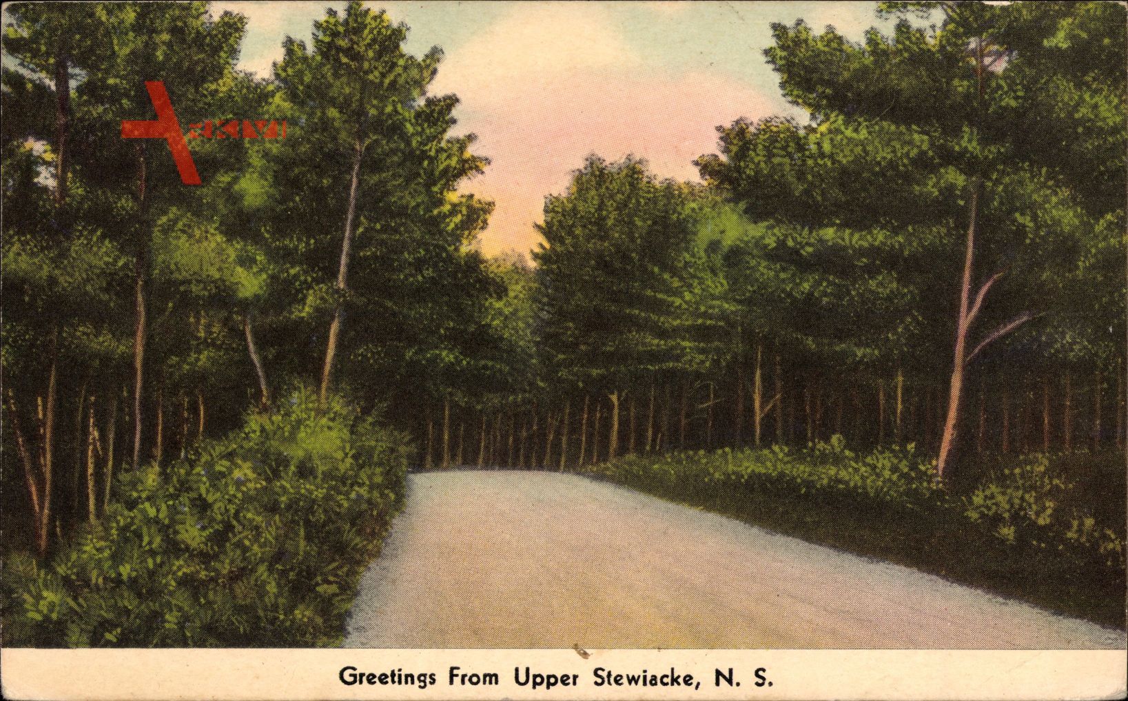 Upper Stewiacke Nova Scotia, Woods, Waldweg, Bäume