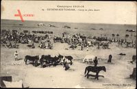 Tunesien, Campagne 1915 á 1916, Camp en plein desert, Pferde