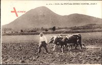 Le Puy de Dome, Laboureur, Ackerpflug, Arbeitsochsen