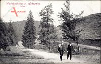 Hohegeiß Braunlage im Oberharz, Wolfsbachthal, Spaziergänger