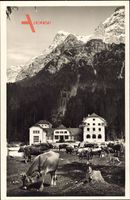 Blick auf die Talstation der Zugspitzbahn, Kühe, Seilbahn, Berge