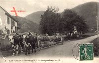 Les Vosges Pittoresques, Attelage de Boeufs, Holztransport, Rinder