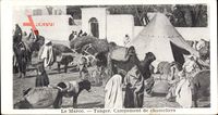 Tanger Marokko, Campement de chameliers, Kamel, Zelt, Esel, Araber