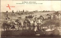 Casablanca Marokko, Un Convoi traversant un oued, Konvoi, Kamele