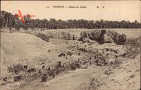 Gabès Tunesien, Oasis, Ziegen an einem Flussbett